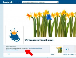 impressumspflicht-facebook